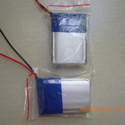 聚合物鋰電池 車(chē)載充電機(jī)的理想伙伴——從生產(chǎn)廠家到價(jià)格解析